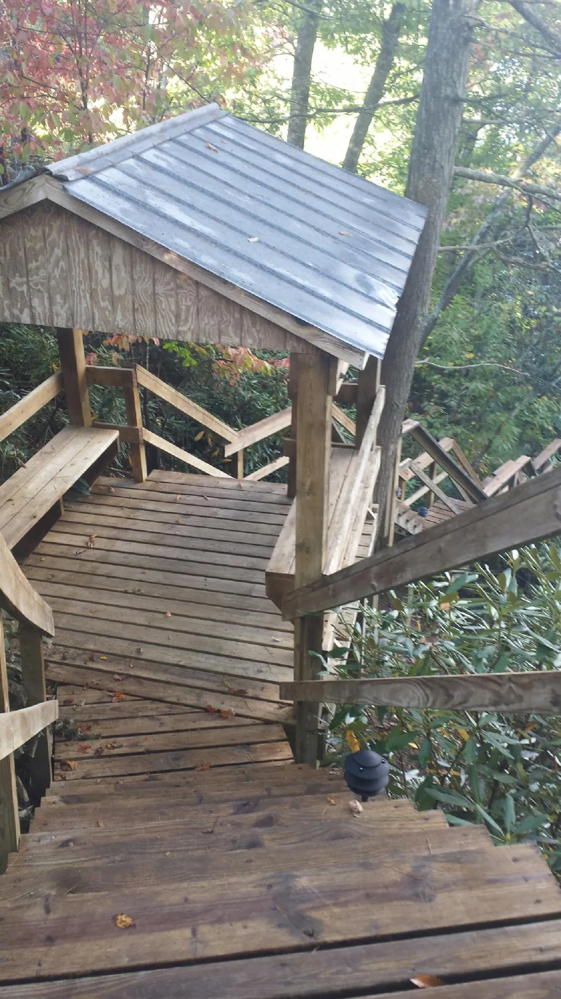 Metal roofed shelter over wooden steps on a wooded walkway — Skylight Repair & Installation work by our crew in Mascot